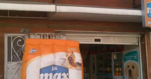 CLINICA VETERINARIA SAN LORENZO BOGOTÁ CLINICA VETERINARIA SAN LORENZO BOGOTÁ